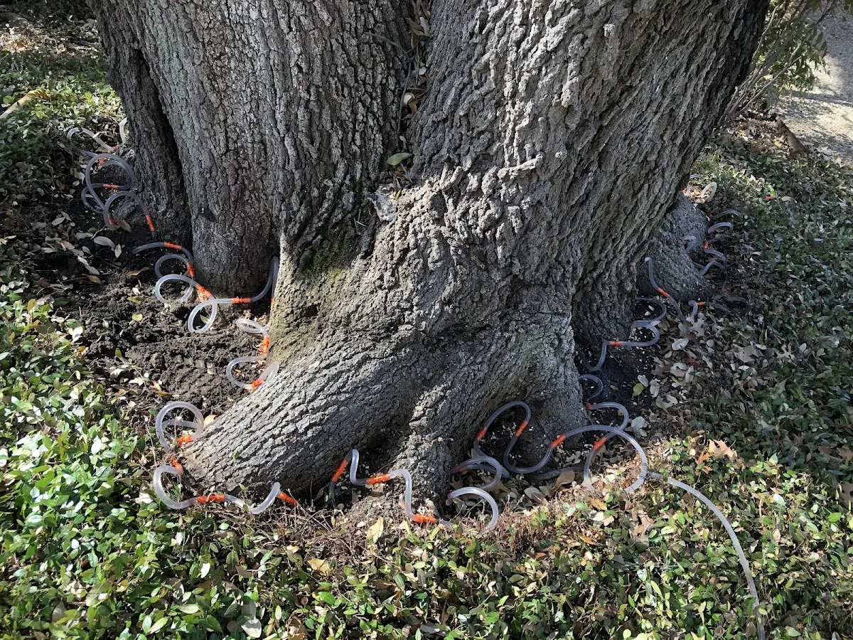 Detailed Shrub and Hedge Trimming job site in Sunrise Beach